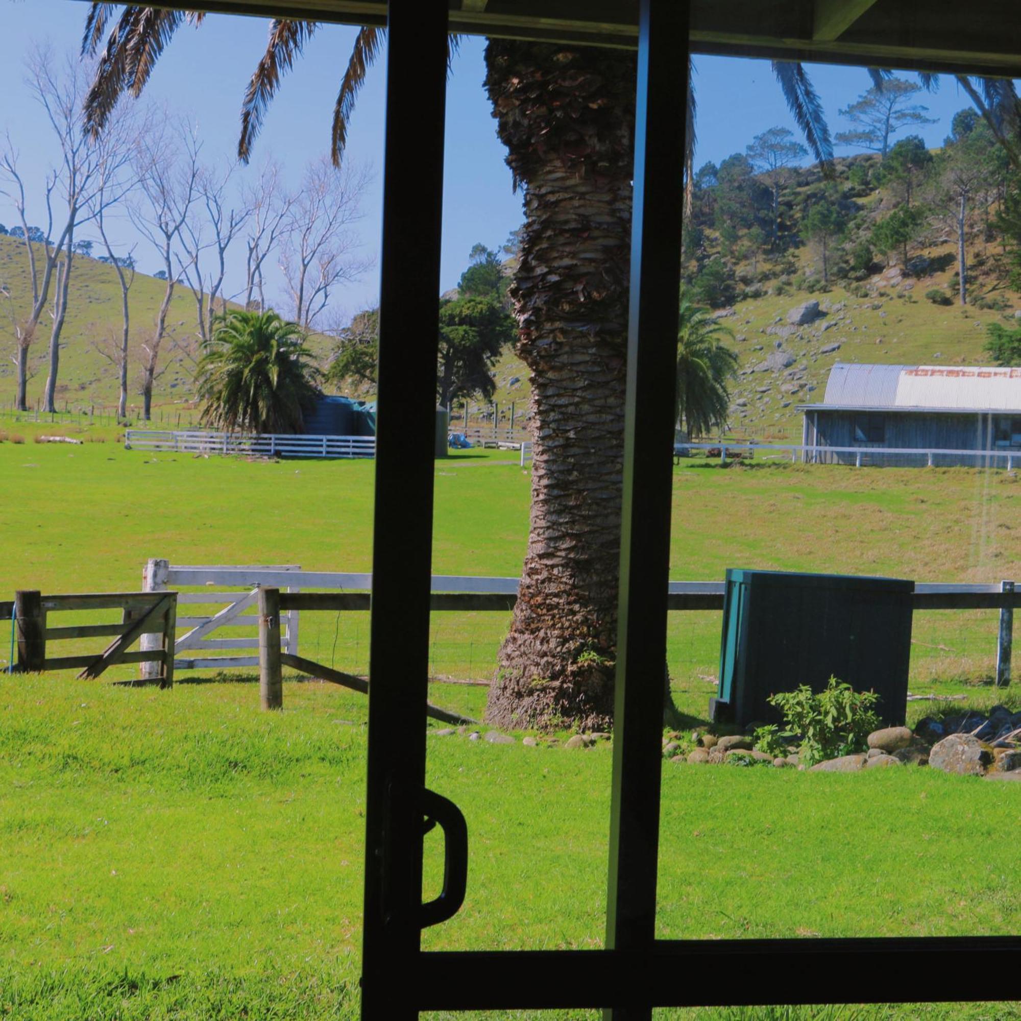 Slipper Island Resort Pauanui Exteriér fotografie
